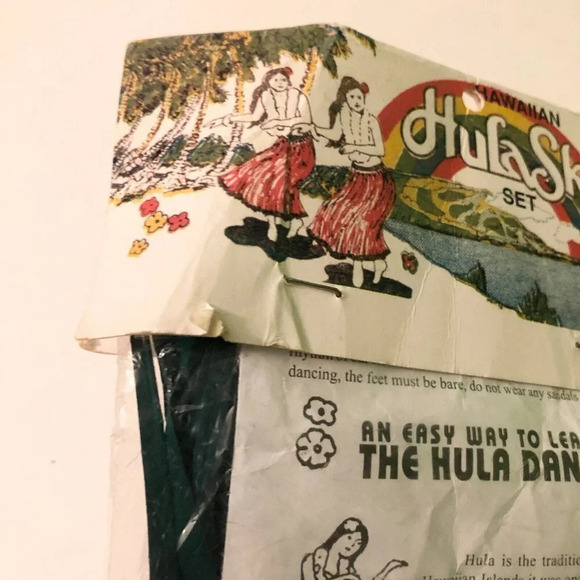 Hawaiin Hula Girl Costume With Raffia Skirt And Coconut Top Child Size Halloween - Picture 16 of 16